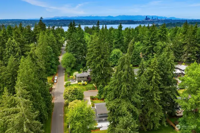 The convenient mid-Island location is easily accessible to all that Mercer Island has to offer including Lake Washington beaches, private clubs, recreational facilities, shops, cafes and restaurants in addition to both Bellevue and Seattle.