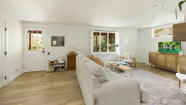 Lower level living room