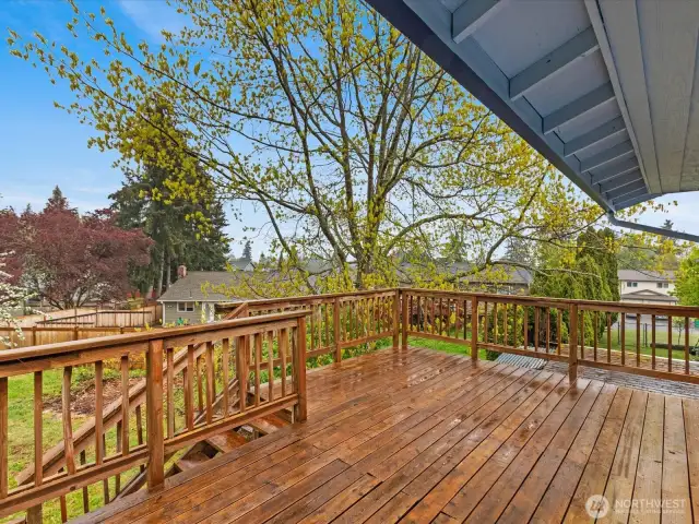 Another view from the back deck.