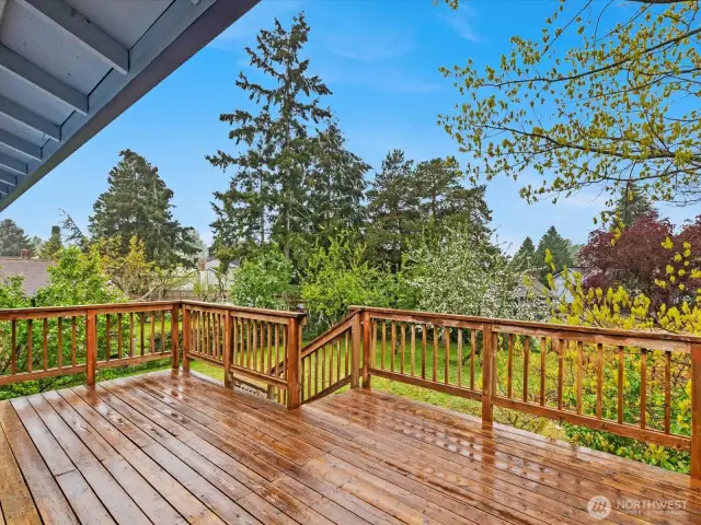 View from back deck