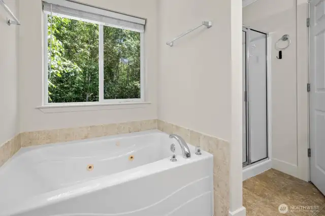 Five piece bath with jetted tub and shower