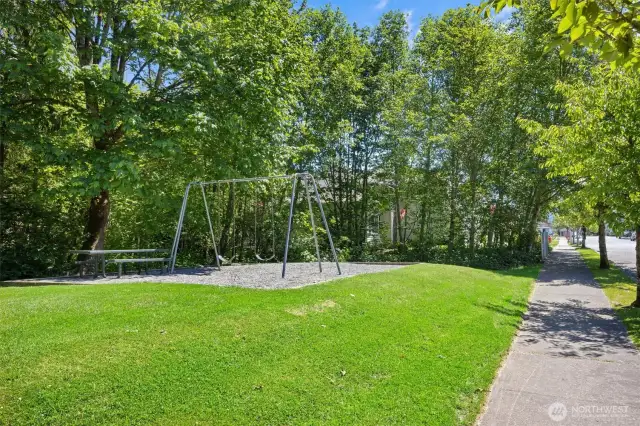 Neighborhood swing set and picnic table