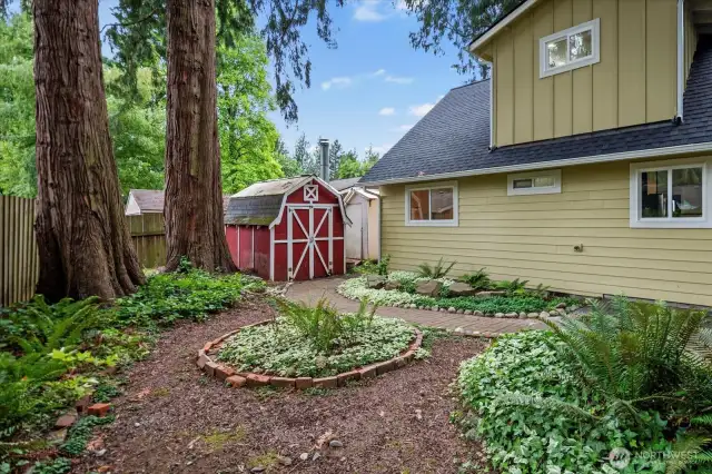 Utility Shed