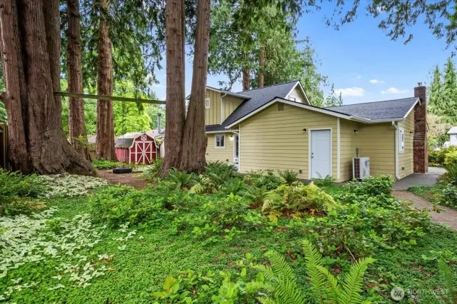 Backyard wonderland with tire swing.