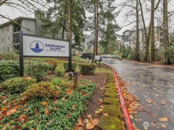 Sammamish Bluffs  162 units nestled on 9.37 Acres! Plenty of open space and pet friendly with walking trails, etc. We offer lots of enjoyment with a fabulous neighborhood and most amenities!