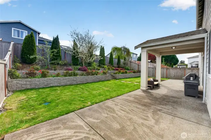 Cover patio backyard