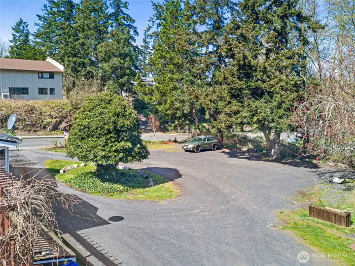 Parking and the gumdrop tree!