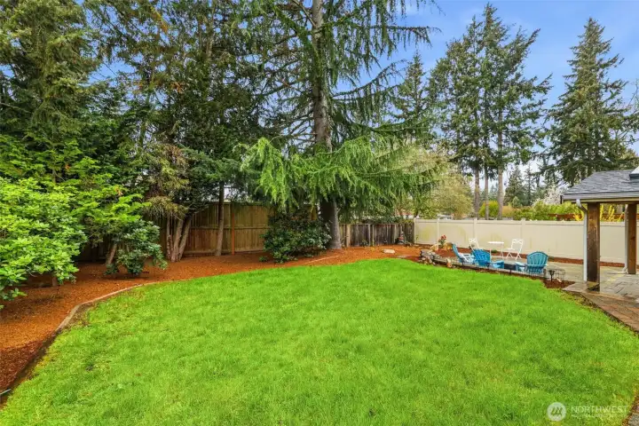 Spacious fully fenced backyard for play or entertaining