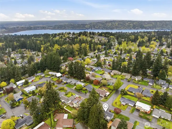 Mid-century living in the heart of Bellevue