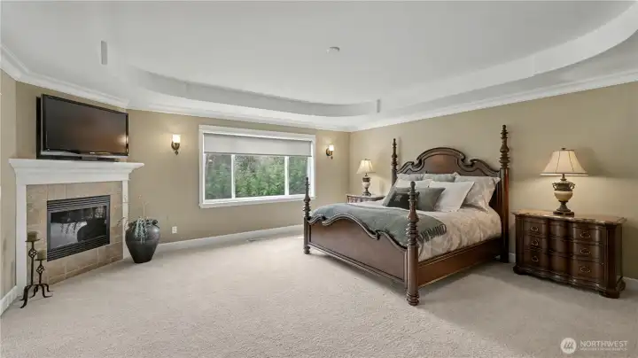 Gas fireplace in primary bedroom