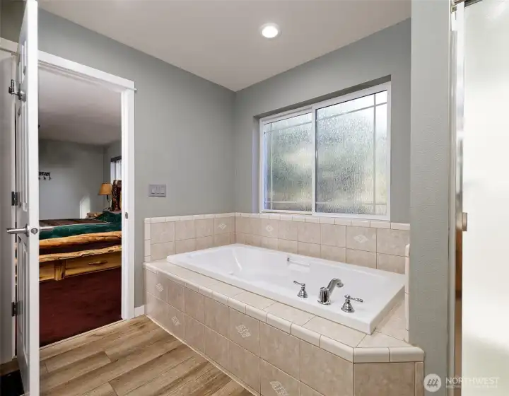 Main Bathroom Tub.