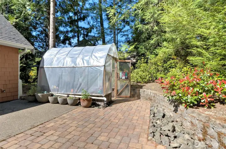 Greenhouse in back yard.