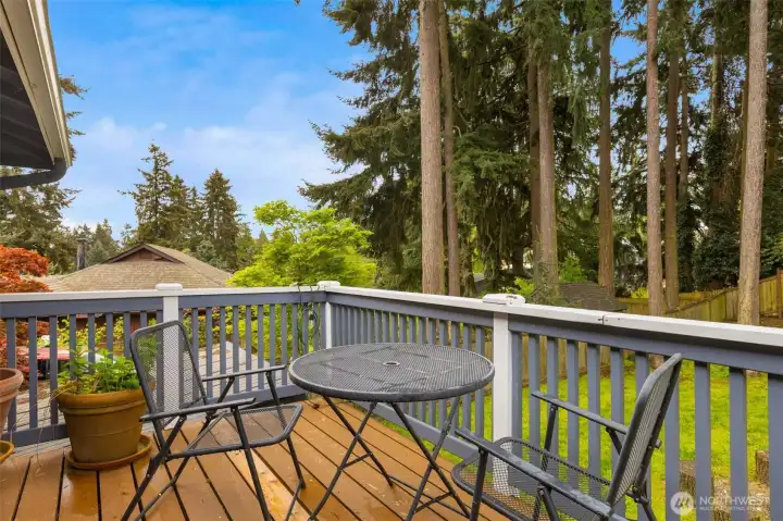 Deck overlooks a spacious back yard