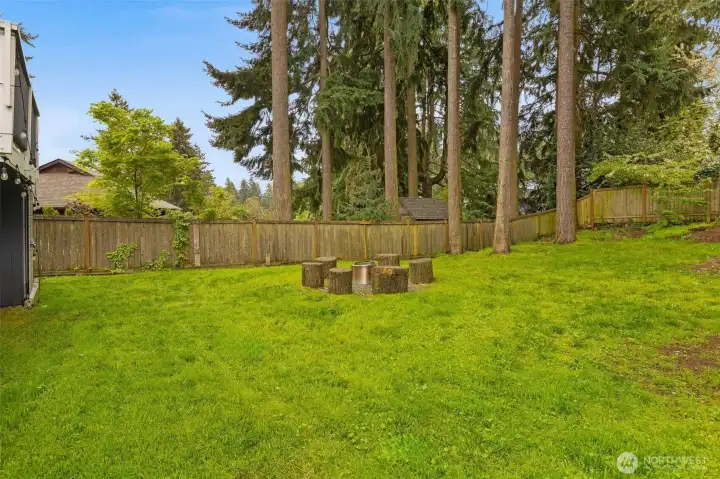 Plenty of place for recreation or relaxation in the back yard.