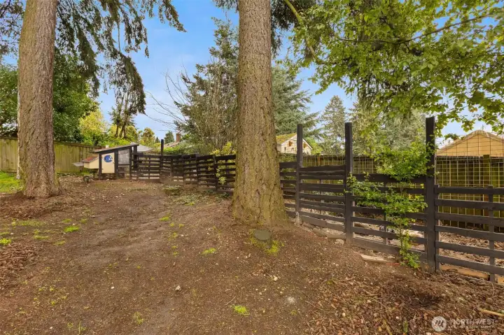 Chicken coop stays with the home (but not the chickens!).