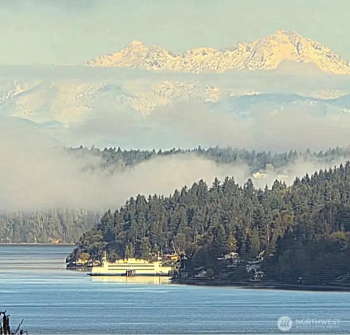 Watch the Vashon Ferry shuttle back & forth...