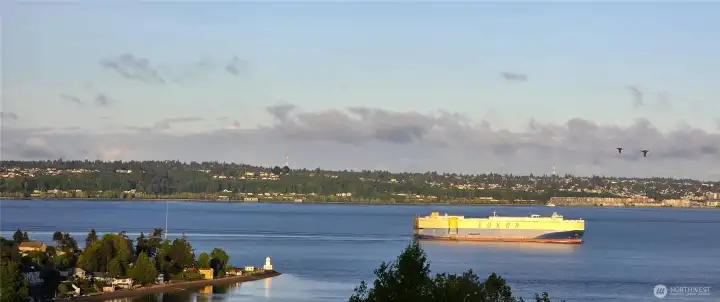 Ships pass by daily!