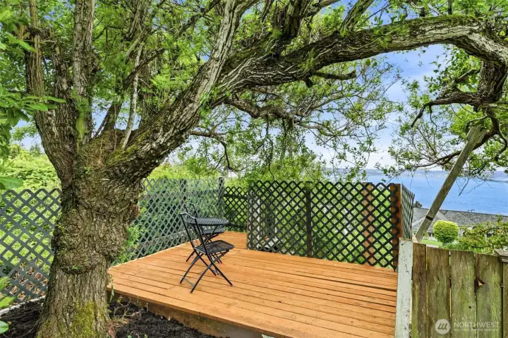 Secondary view deck on the edge of the yard.