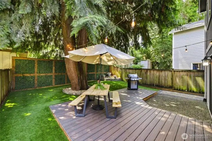 Nicely Manicured Turfed (easy maintenance) Back Yard Nicely Manicured Turfed (easy maintenance) Back Yard