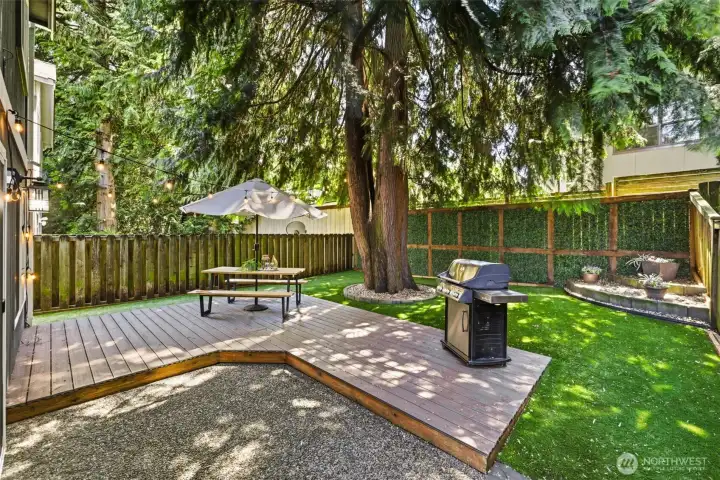 Back Yard Back Yard