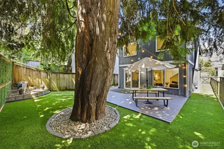 Park like setting Back Yard in Wedgwood! Park like setting Back Yard in Wedgwood!