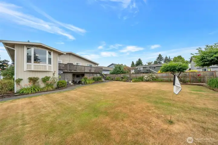 Backyard Backyard