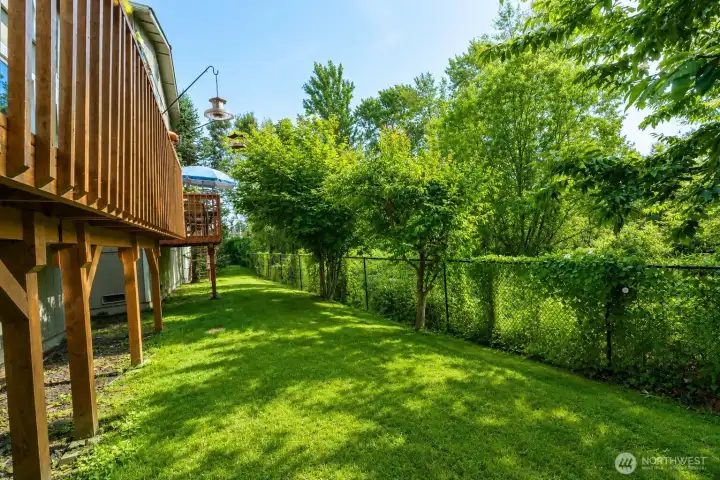 deck/backyard deck/backyard