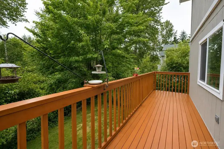 deck deck