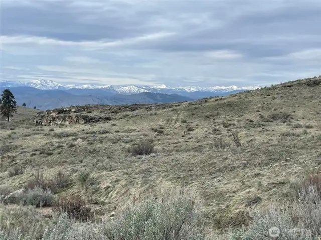 Massive Views