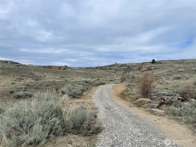 Updated Driveway