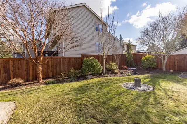 Front yard includes a tranquil water feature