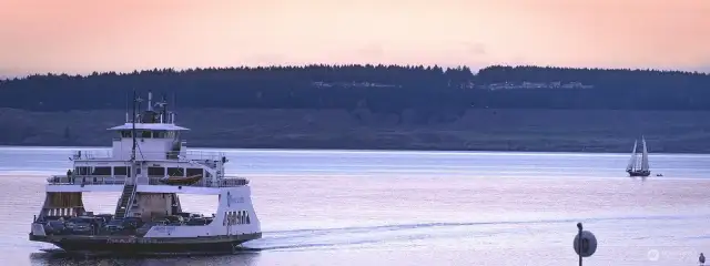 20 min ferry-Look for Dolphins