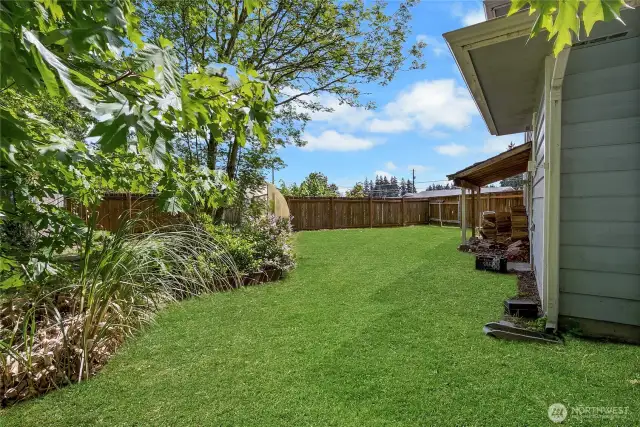 Side yard - Little garden area, greenhouse, wood stash