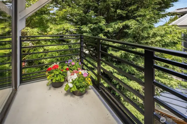 Private Primary Balcony