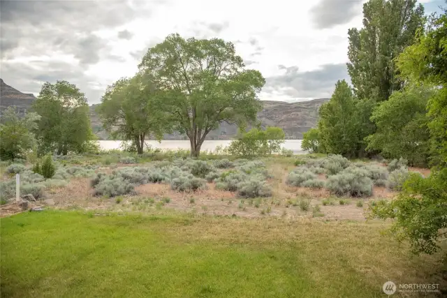River view from the back yard.