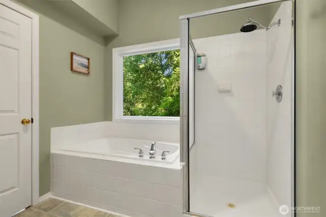 Soaking tub and Stand up Shower