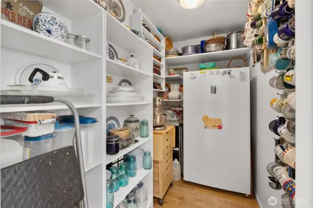 Pantry with a ton of storage and room for your freezer!!!