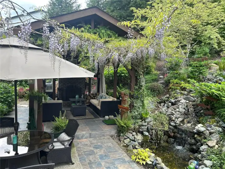 wisteria in bloom end of may last year
