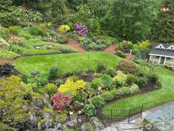 rear garden from upstairs last may