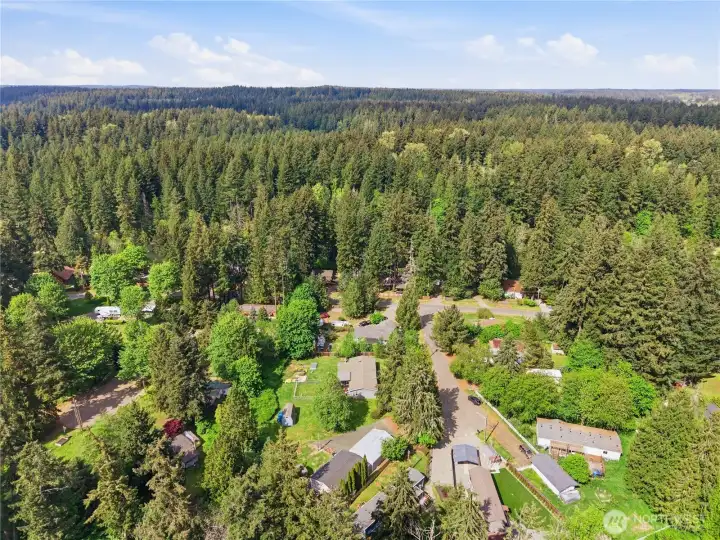 Nisqually Pines Community Nisqually Pines Community
