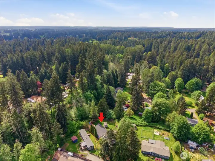 Nisqually Pines Community Nisqually Pines Community