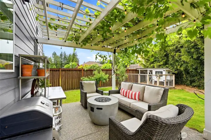 Pergola seating area with mature grapevines Pergola seating area with mature grapevines