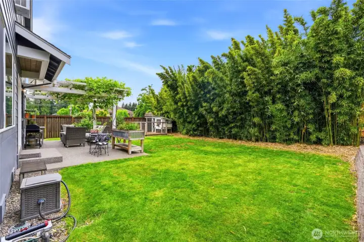 Nice backyard,very private, there are apple trees, grapes, blueberries and raspberries Nice backyard,very private, there are apple trees, grapes, blueberries and raspberries