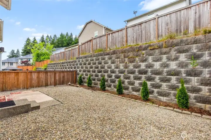 Low maintenance backyard