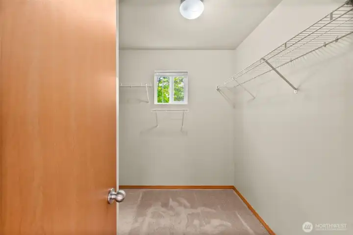 Primary bedroom with walk-in closet