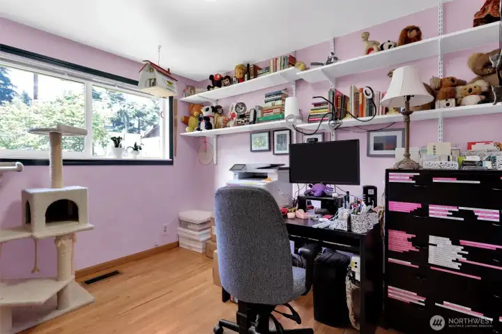Second bedroom used as office and cat hang out.