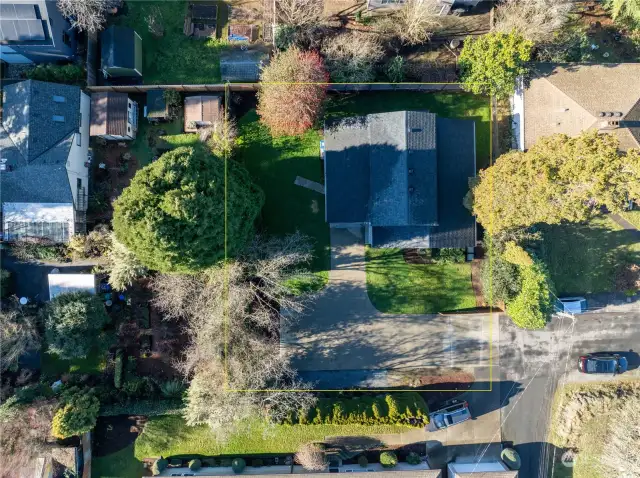 Aerial photo with estimated lot lines