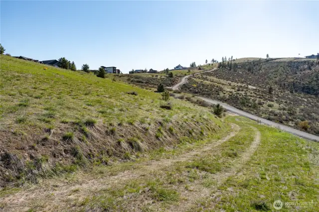 Driveway to the lot