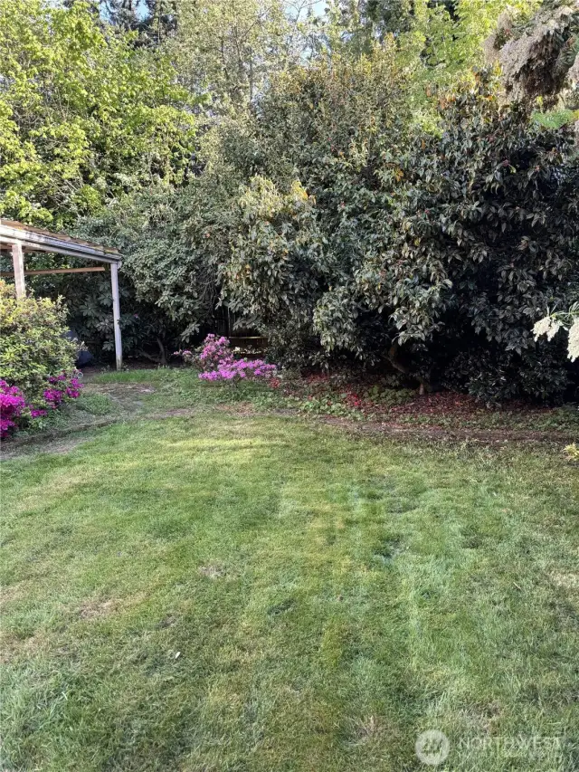 Mature landscaping blooms beautifully in the spring!