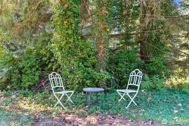 Front yard